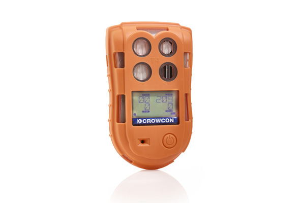 Fixed Portable GAS Detection System